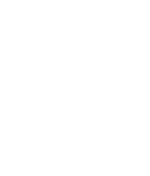 Icon-LEAP-HR-WO.png